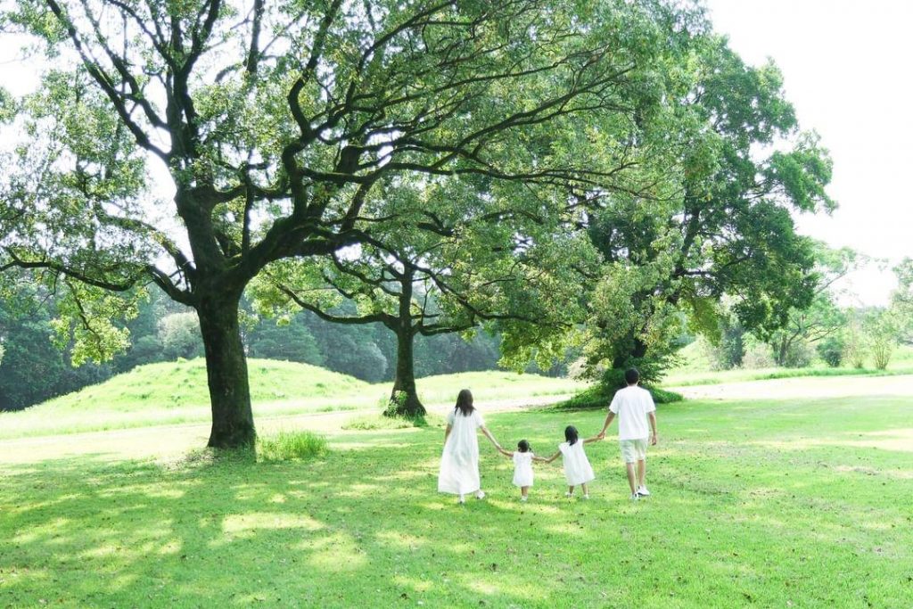 もりのふうアイス